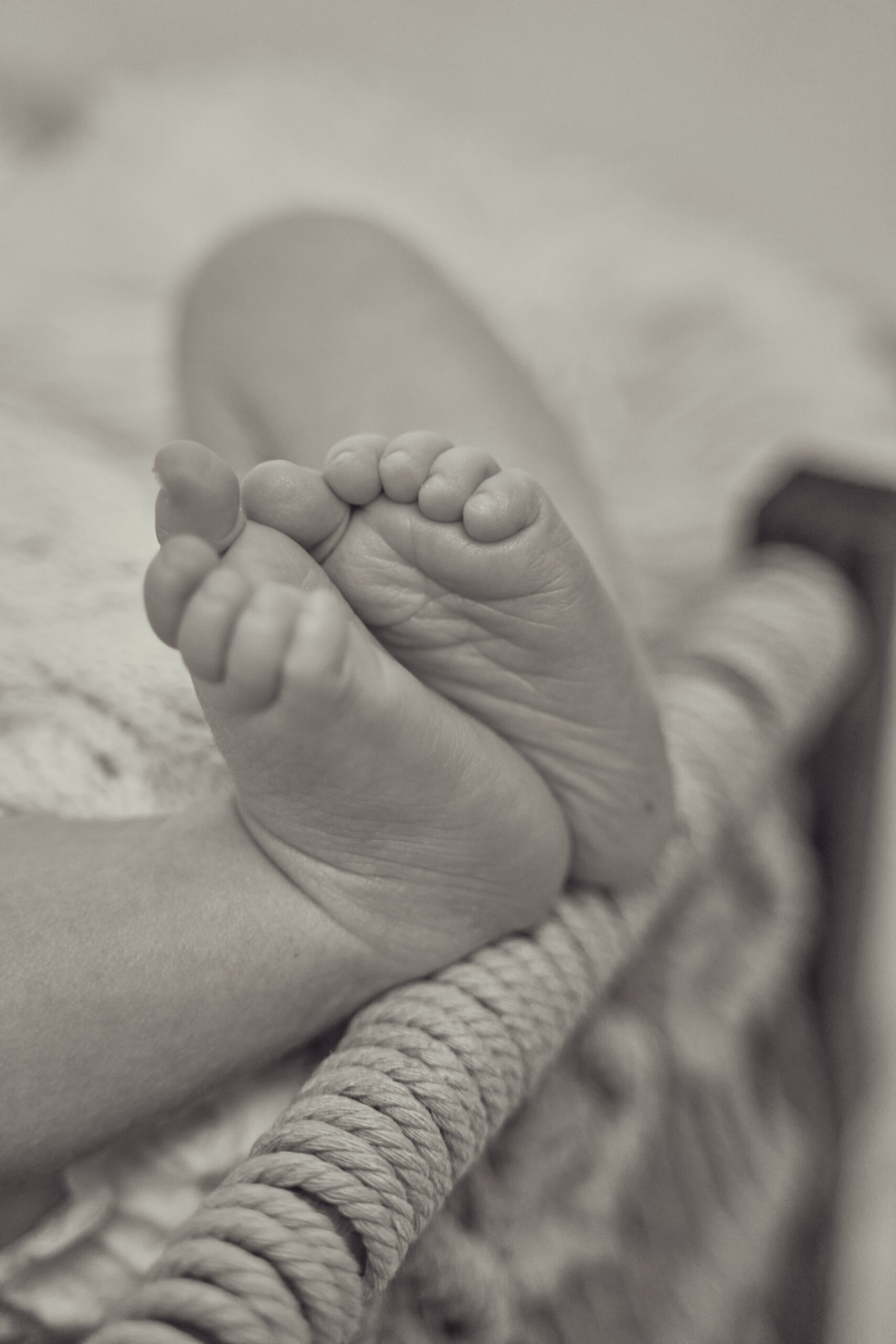 C.K. Portraits Fotografie jan. 18 2026 28